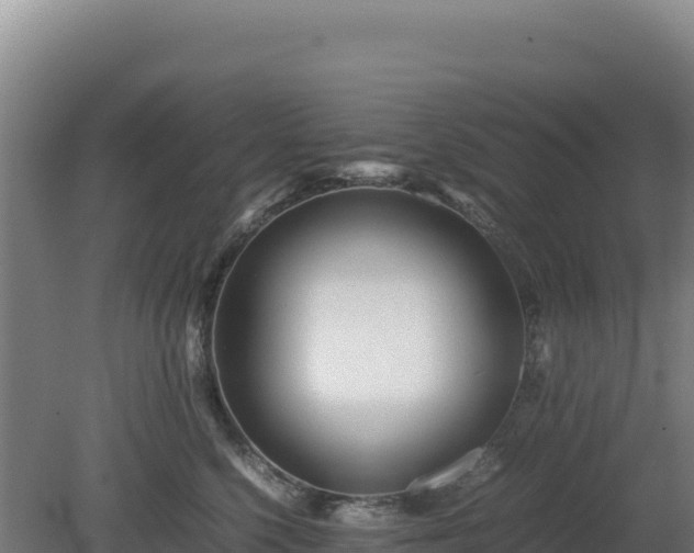 X0000081450568200701191717