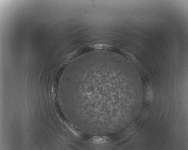 X0000081450569200701191717