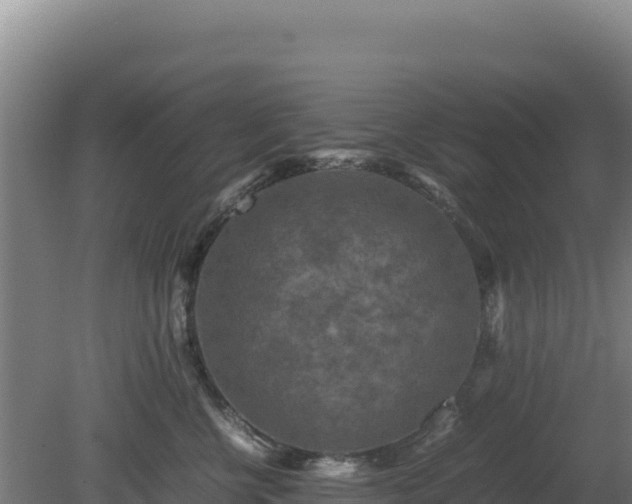 X0000081450570200701191717