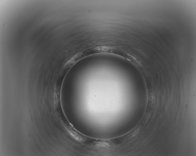 X0000081450572200701191717