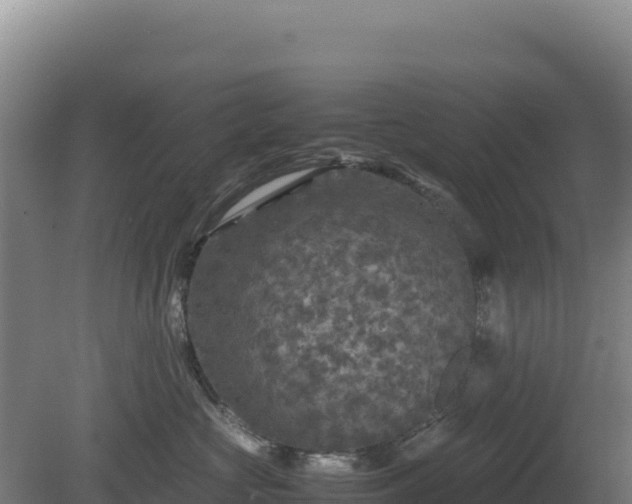 X0000081450573200701191717