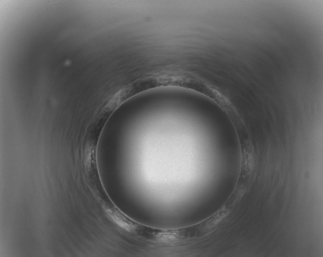 X0000081450574200701191717