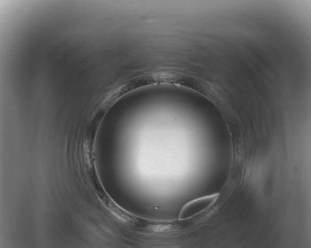 X0000081450575200701191717