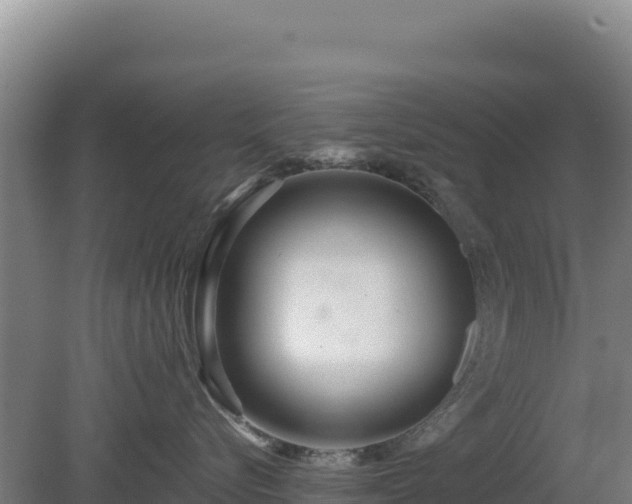 X0000081450576200701191717