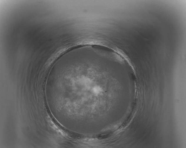 X0000081450577200701191716