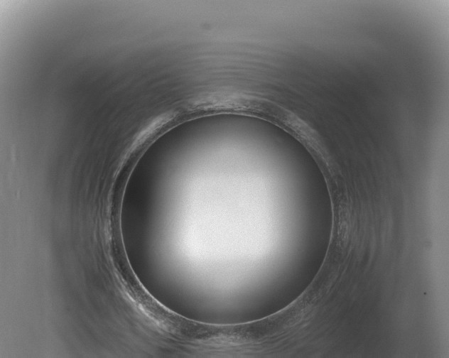 X0000081450578200701191716