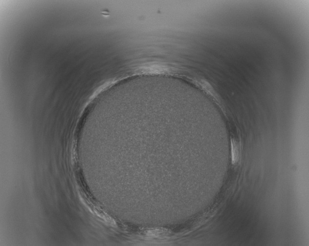 X0000081450579200701191716