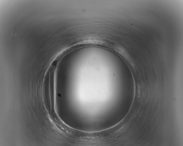 X0000081450580200701191716