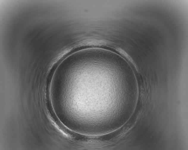 X0000081450581200701191716