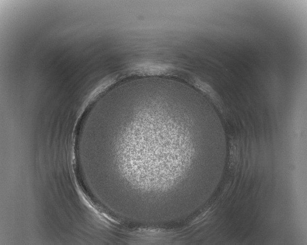 X0000081450582200701191716