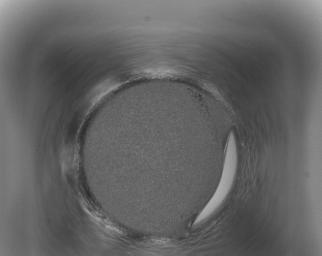 X0000081450583200701191716