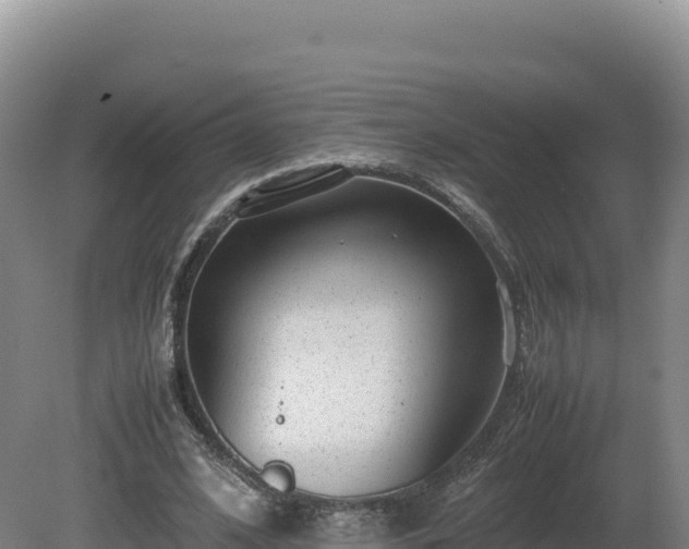 X0000081450584200701191716