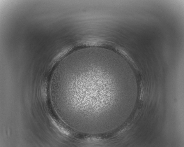 X0000081450586200701191716