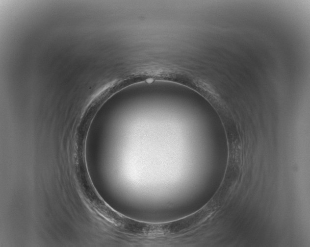 X0000081450587200701191716