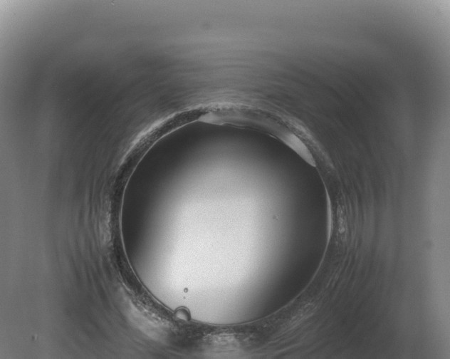 X0000081450588200701191716