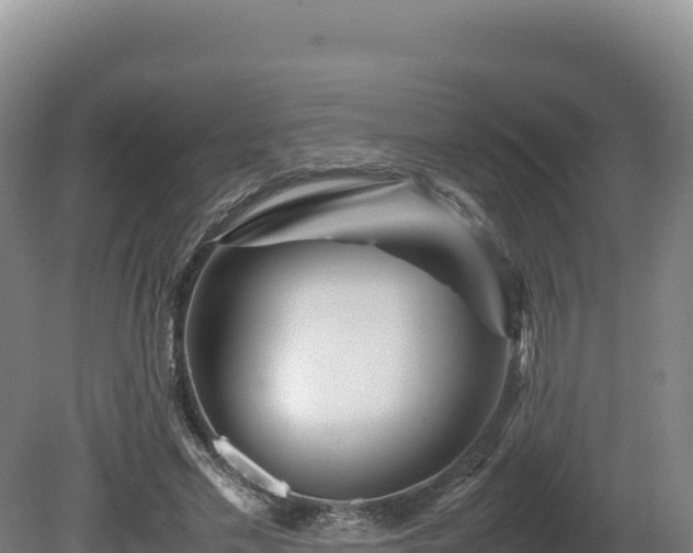 X0000081450589200701191716