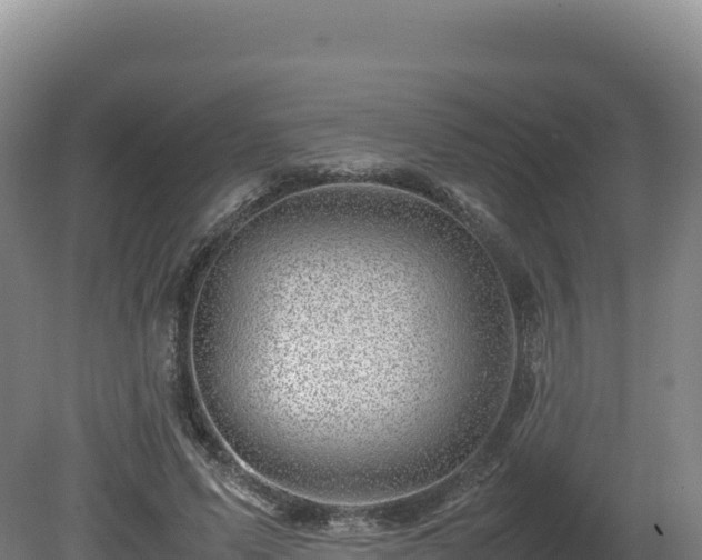 X0000081450591200701191716