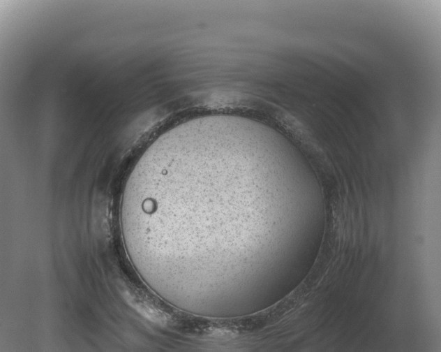 X0000081450592200701191716