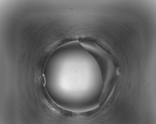 X0000081450593200701191716