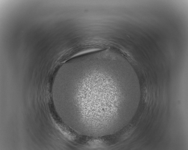 X0000081450594200701191716