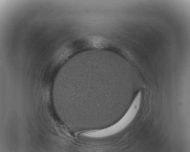 X0000081450595200701191716