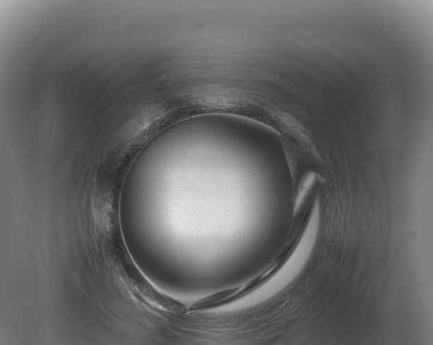 X0000081450596200701191716