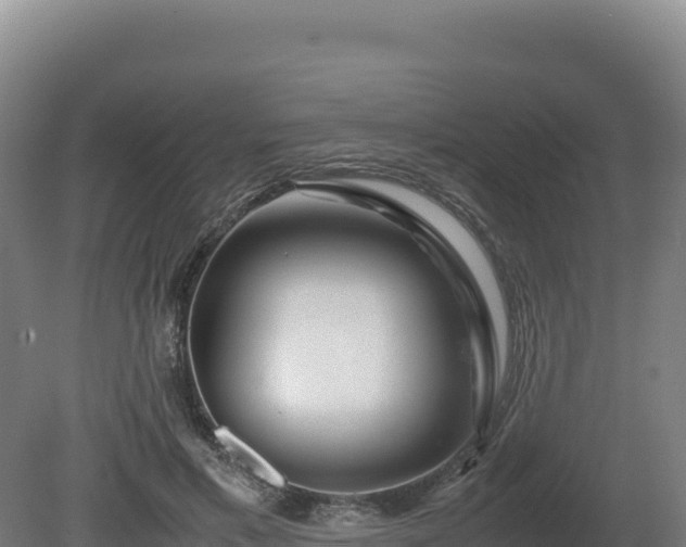 X0000081450597200701191716