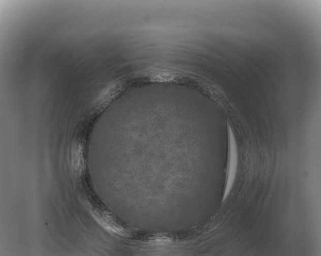 X0000081450598200701191716