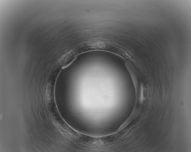 X0000081450600200701191716