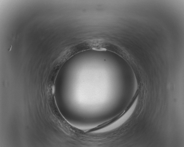 X0000081450601200701191716