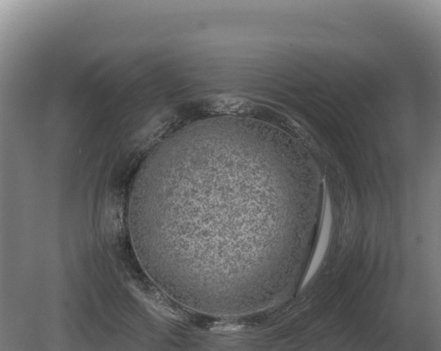 X0000081450602200701191716