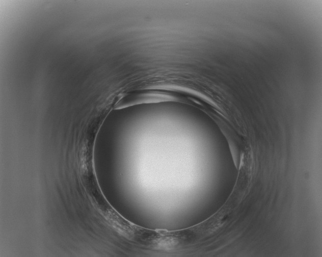 X0000081450604200701191716