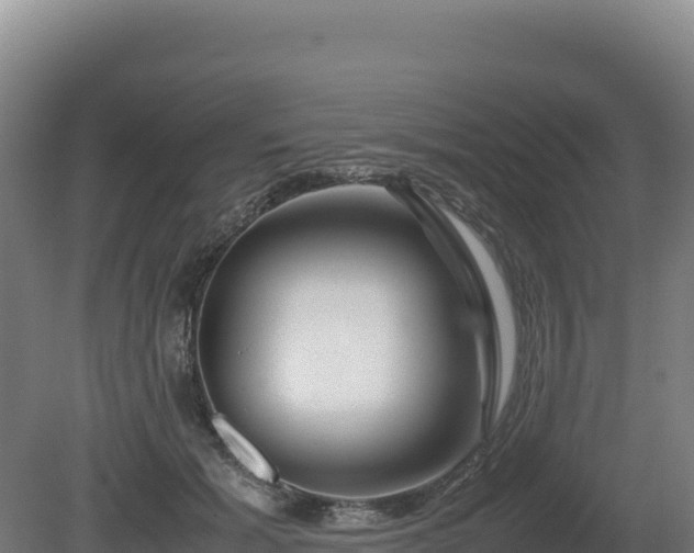 X0000081450605200701191716