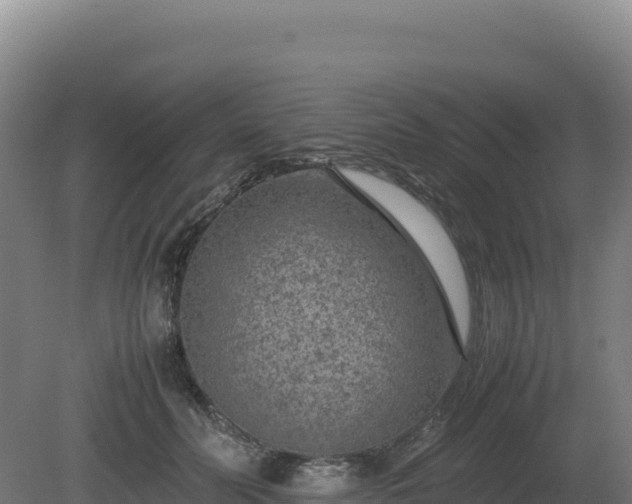 X0000081450606200701191716