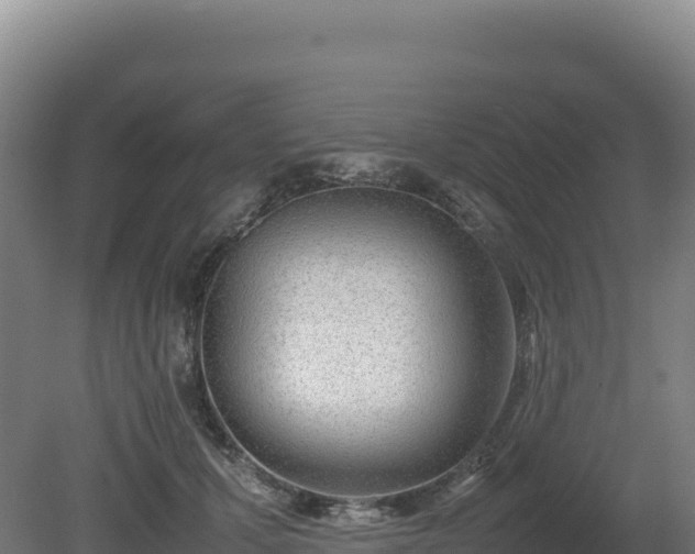 X0000081450607200701191716