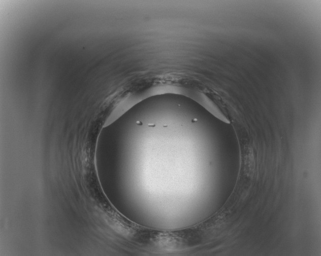 X0000081450608200701191716