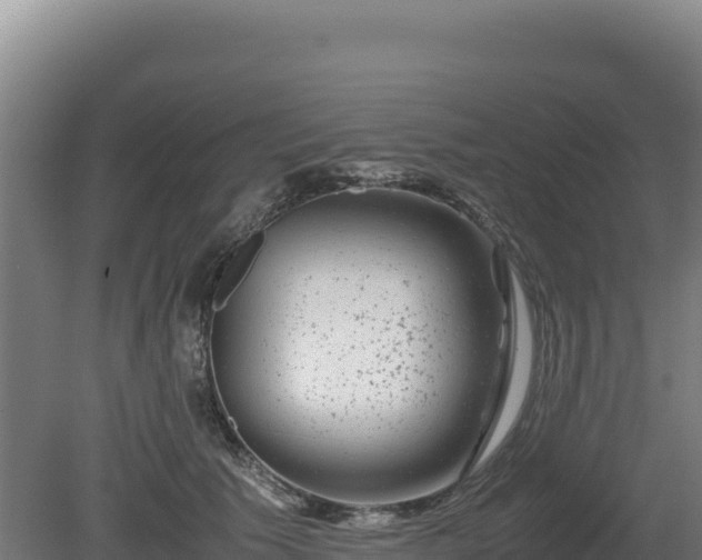 X0000081450609200701191716