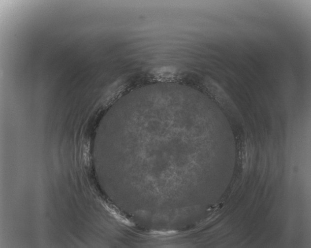 X0000081450610200701191716