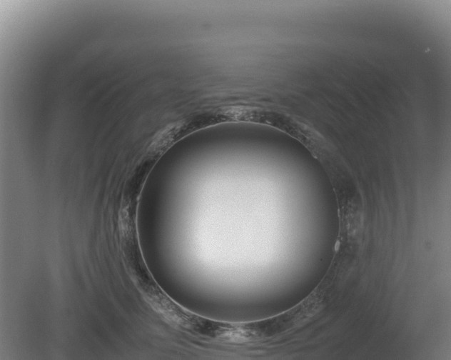 X0000081450611200701191716