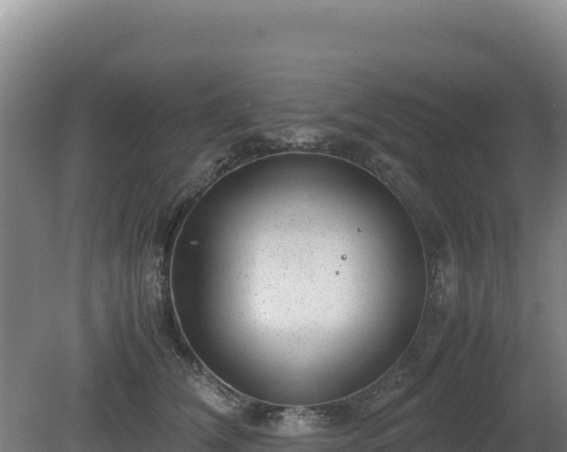 X0000081450612200701191715