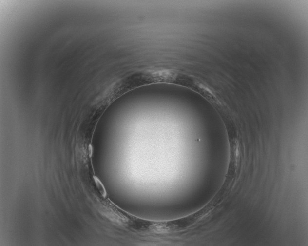 X0000081450613200701191715