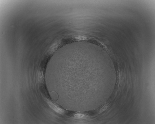 X0000081450614200701191715