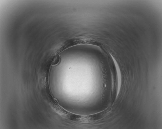 X0000081450615200701191715