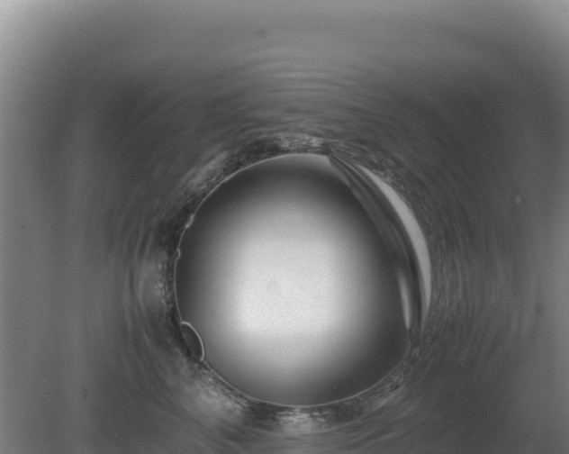 X0000081450616200701191715