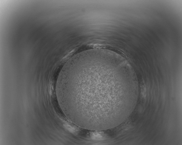 X0000081450618200701191715