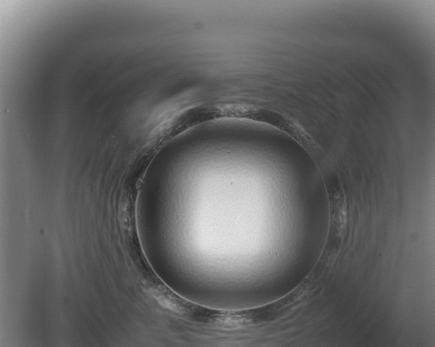 X0000081450619200701191715