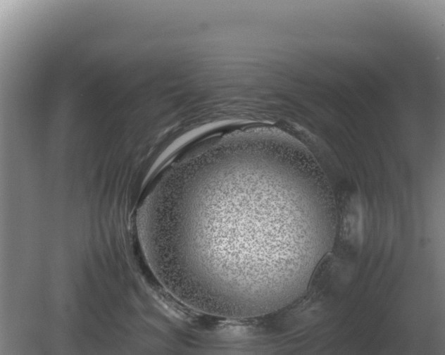 X0000081450620200701191715