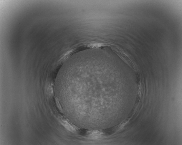 X0000081450621200701191715