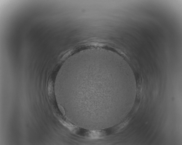 X0000081450623200701191715