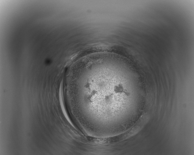 X0000081450624200701191715